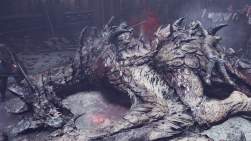1646144 B