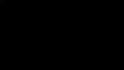 3247955 B