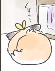 29668 B