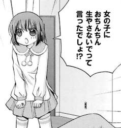 55584 B