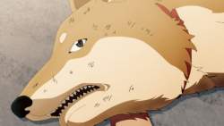 81244 B