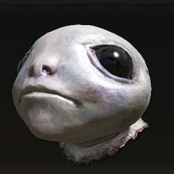 21214 B