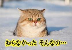 71280 B