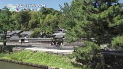 8024492 B