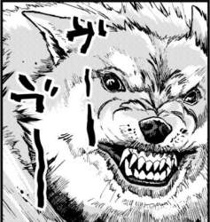 88543 B
