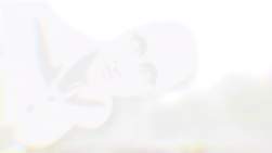 50379 B