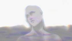 20447 B