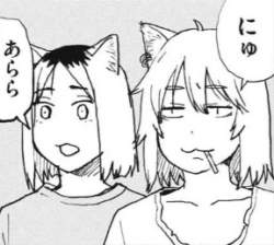 79255 B
