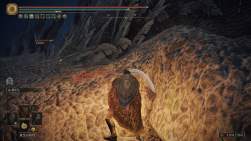 2047838 B