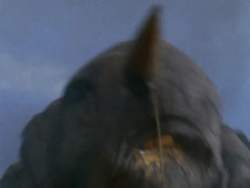 8138118 B