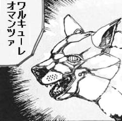22433 B