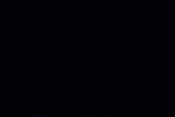 2786783 B