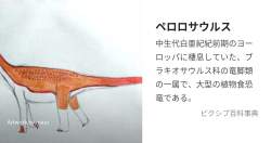 408877 B