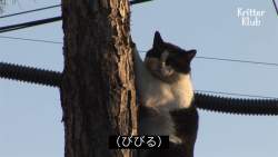 202439 B