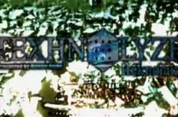 7352931 B