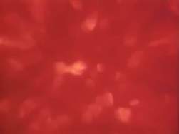 7394206 B