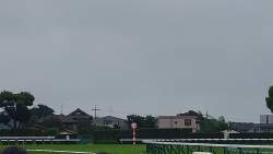 2515389 B