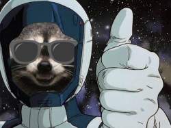 271755 B