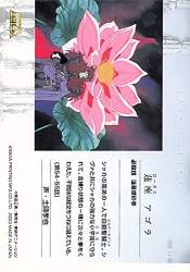 36415 B