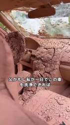 7995573 B