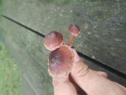 109338 B
