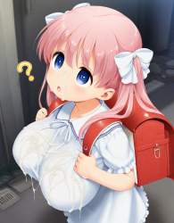 252462 B