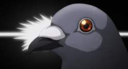 42979 B