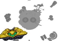 110711 B