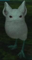 13208 B
