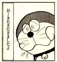 24533 B