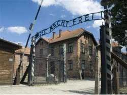 33354 B