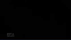8120597 B
