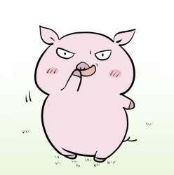 45855 B