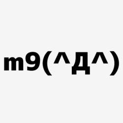 4953 B