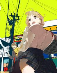 255291 B