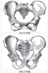 173929 B