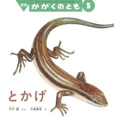 129551 B