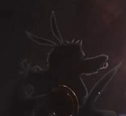 56582 B