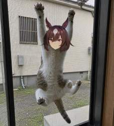 482975 B