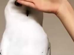 822110 B