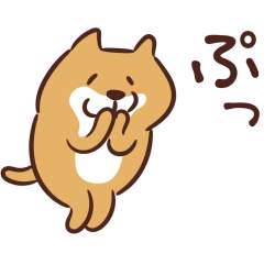 18097 B