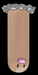 33759 B