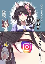 3649523 B