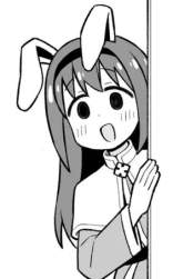 51109 B
