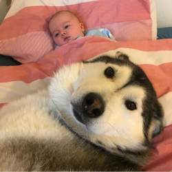 180320 B