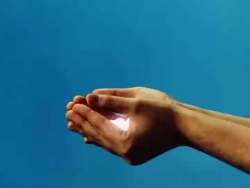 7250263 B