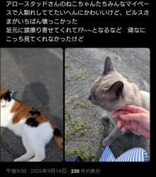 556343 B