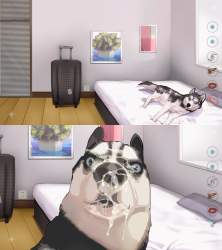 598338 B