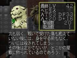 55578 B