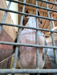 160157 B